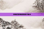 养的巴西龟感觉胆子很小