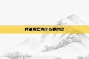 柯基尾巴为什么要剪短
