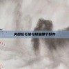 英国短毛猫与橘猫哪个好养