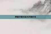阿富汗猎犬多大开始长毛