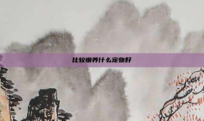 比较懒养什么宠物好