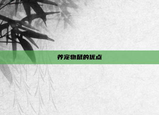 养宠物鼠的优点