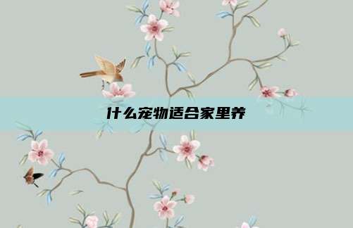 什么宠物适合家里养