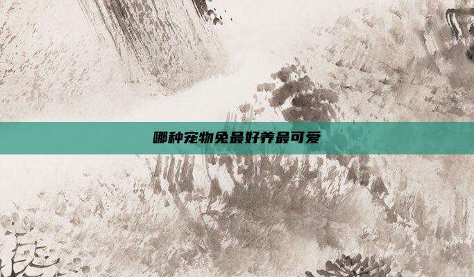 哪种宠物兔最好养最可爱