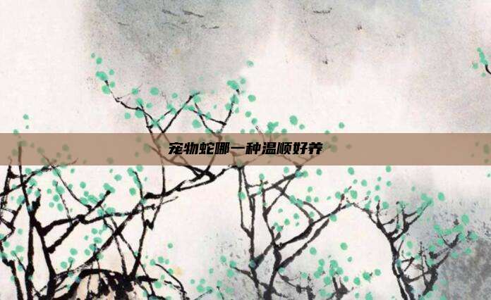 宠物蛇哪一种温顺好养