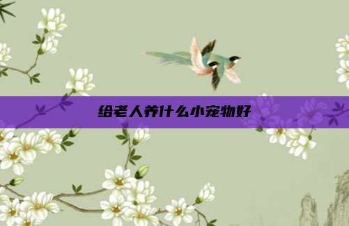 给老人养什么小宠物好