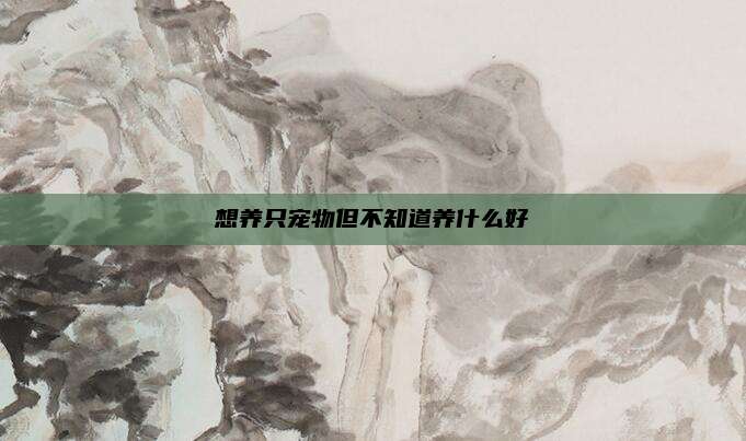 想养只宠物但不知道养什么好