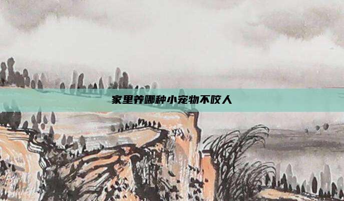 家里养哪种小宠物不咬人