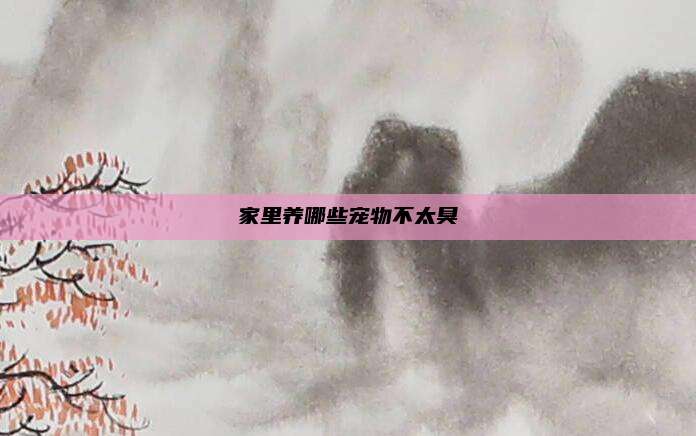 家里养哪些宠物不太臭