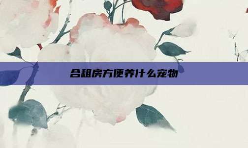 合租房方便养什么宠物