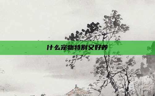 什么宠物特别又好养