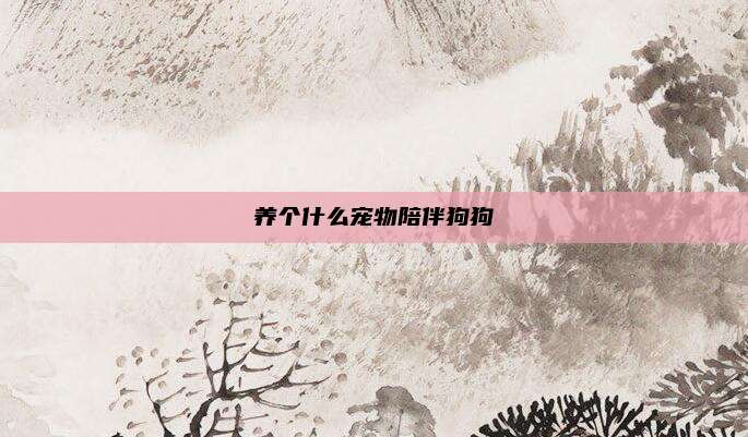 养个什么宠物陪伴狗狗