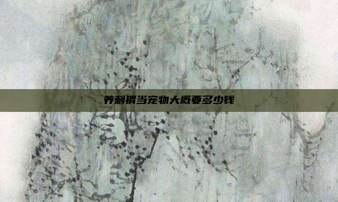 养刺猬当宠物大概要多少钱