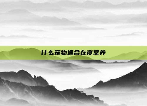 什么宠物适合在寝室养