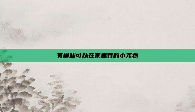 有哪些可以在家里养的小宠物
