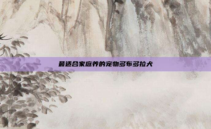 最适合家庭养的宠物多布多拉犬