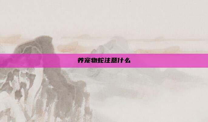 养宠物蛇注意什么