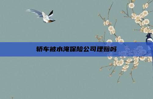 轿车被水淹保险公司理赔吗