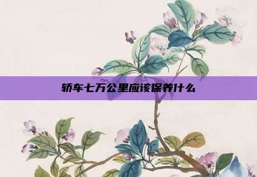 轿车七万公里应该保养什么