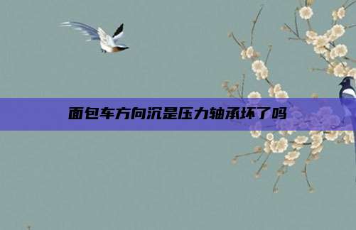 面包车方向沉是压力轴承坏了吗