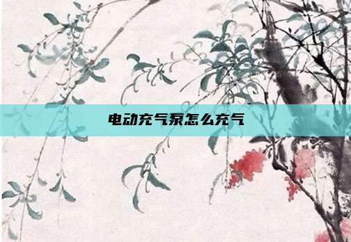 电动充气泵怎么充气