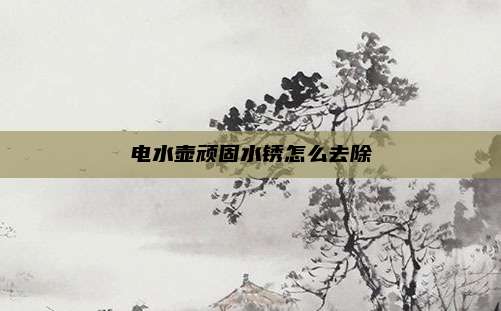 电水壶顽固水锈怎么去除