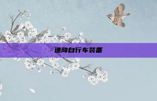 速降自行车装备