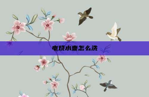 电烧水壶怎么洗