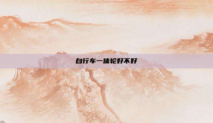 自行车一体轮好不好