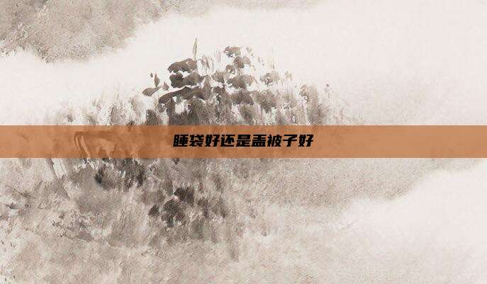 睡袋好还是盖被子好