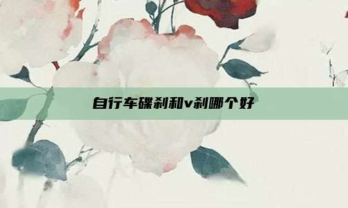 自行车碟刹和v刹哪个好