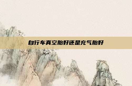 自行车真空胎好还是充气胎好