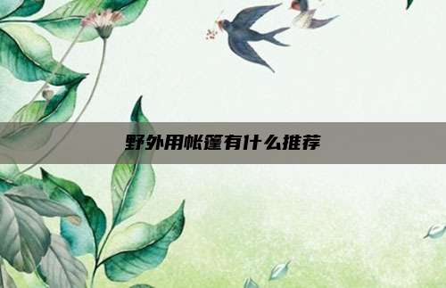 野外用帐篷有什么推荐