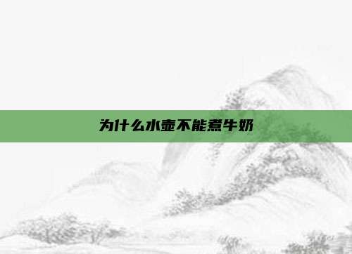 为什么水壶不能煮牛奶