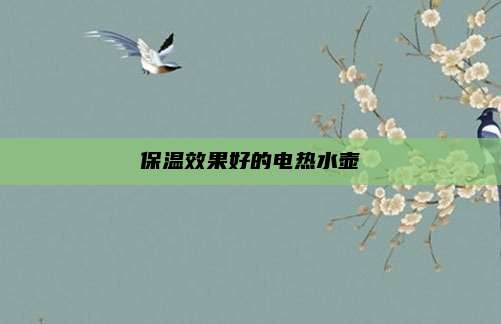 保温效果好的电热水壶