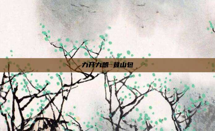 力开力朗 登山包