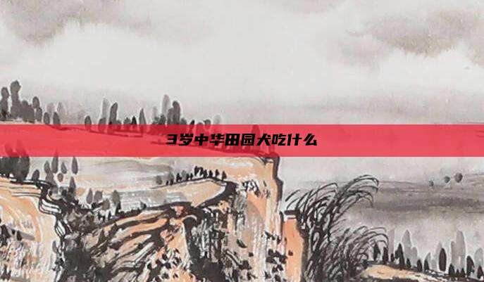 3岁中华田园犬吃什么