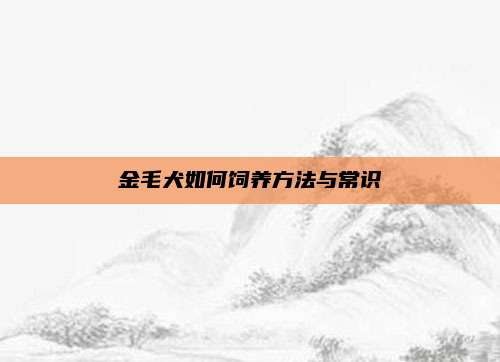 金毛犬如何饲养方法与常识