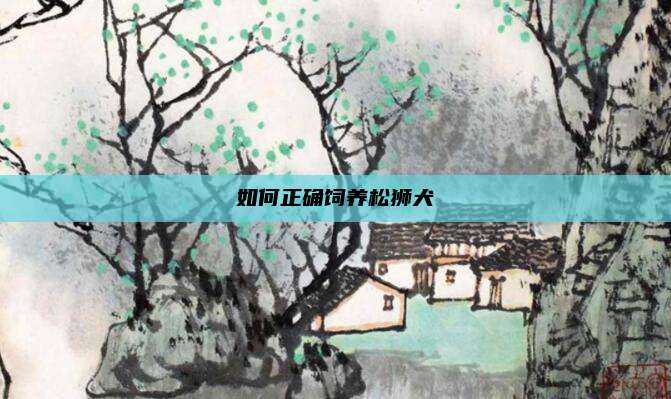 如何正确饲养松狮犬