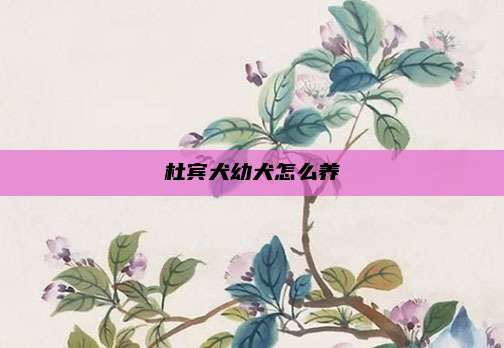 杜宾犬幼犬怎么养