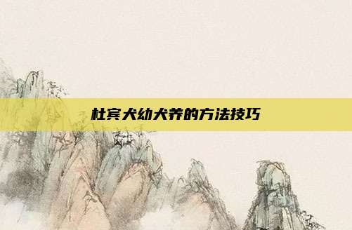 杜宾犬幼犬养的方法技巧