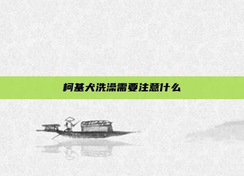 柯基犬洗澡需要注意什么