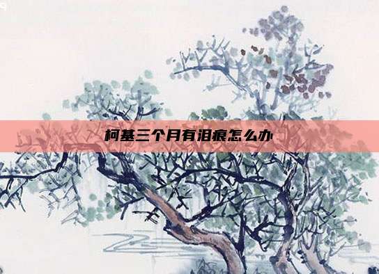 柯基三个月有泪痕怎么办
