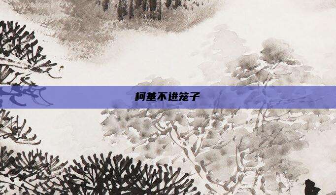柯基不进笼子