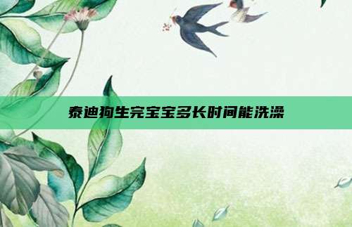 泰迪狗生完宝宝多长时间能洗澡