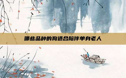 哪些品种的狗适合陪伴单身老人