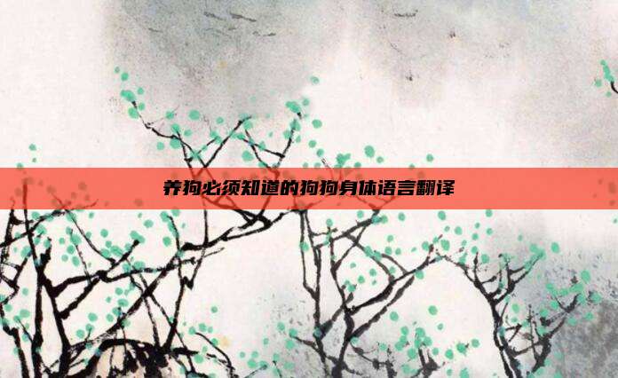 养狗必须知道的狗狗身体语言翻译