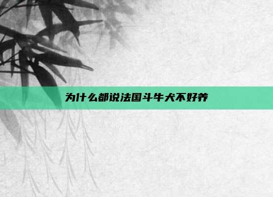 为什么都说法国斗牛犬不好养