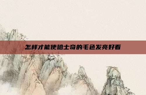 怎样才能使哈士奇的毛色发亮好看