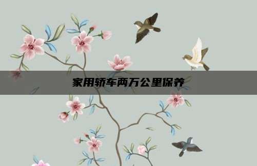 家用轿车两万公里保养